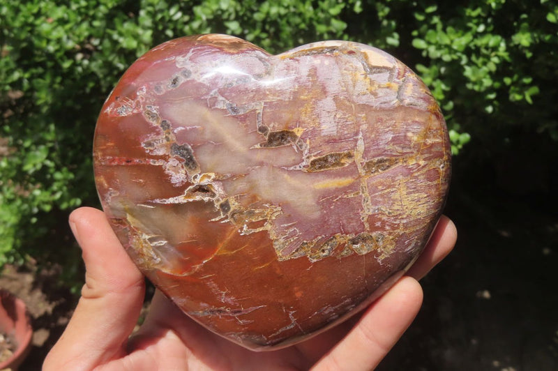 Polished Red Podocarpus Petrified Wood Hearts x 2 From Madagascar - Toprock Gemstones and Minerals 
