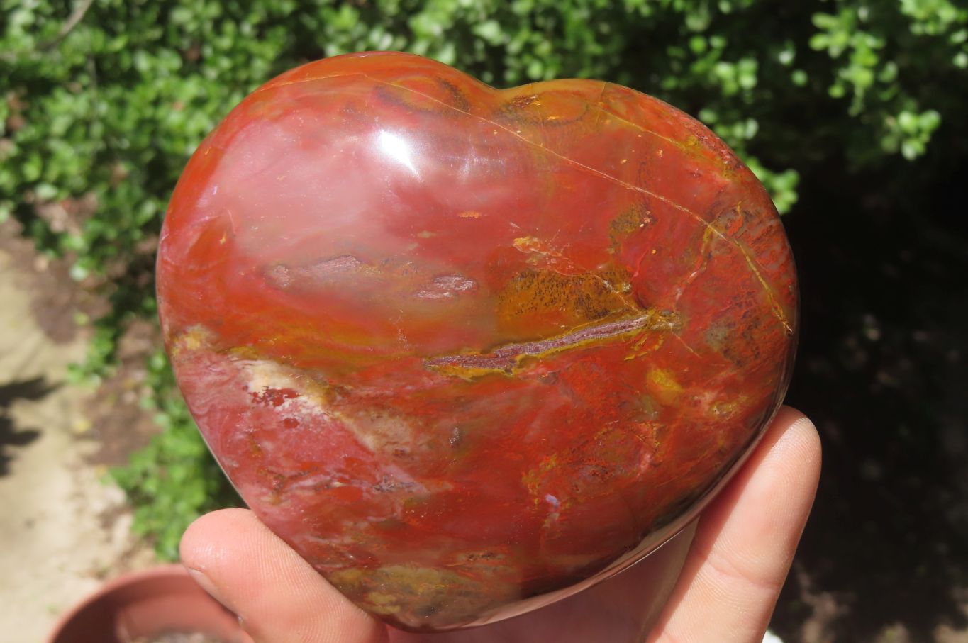 Polished Red Podocarpus Petrified Wood Hearts x 2 From Madagascar - Toprock Gemstones and Minerals 