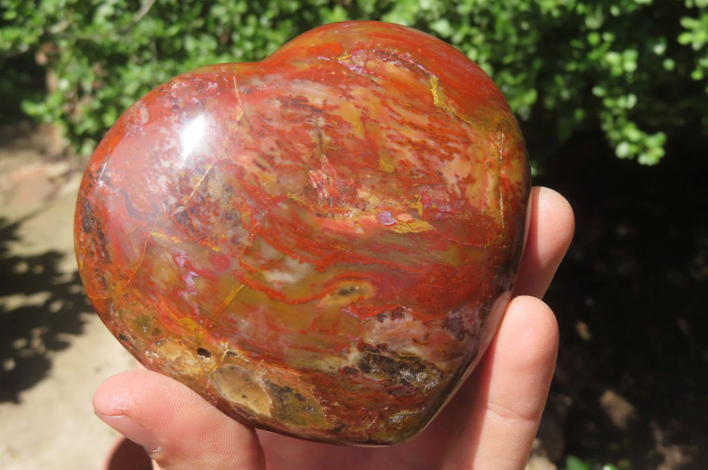Polished Red Podocarpus Petrified Wood Hearts x 2 From Madagascar - Toprock Gemstones and Minerals 