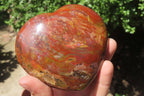 Polished Red Podocarpus Petrified Wood Hearts x 2 From Madagascar - Toprock Gemstones and Minerals 