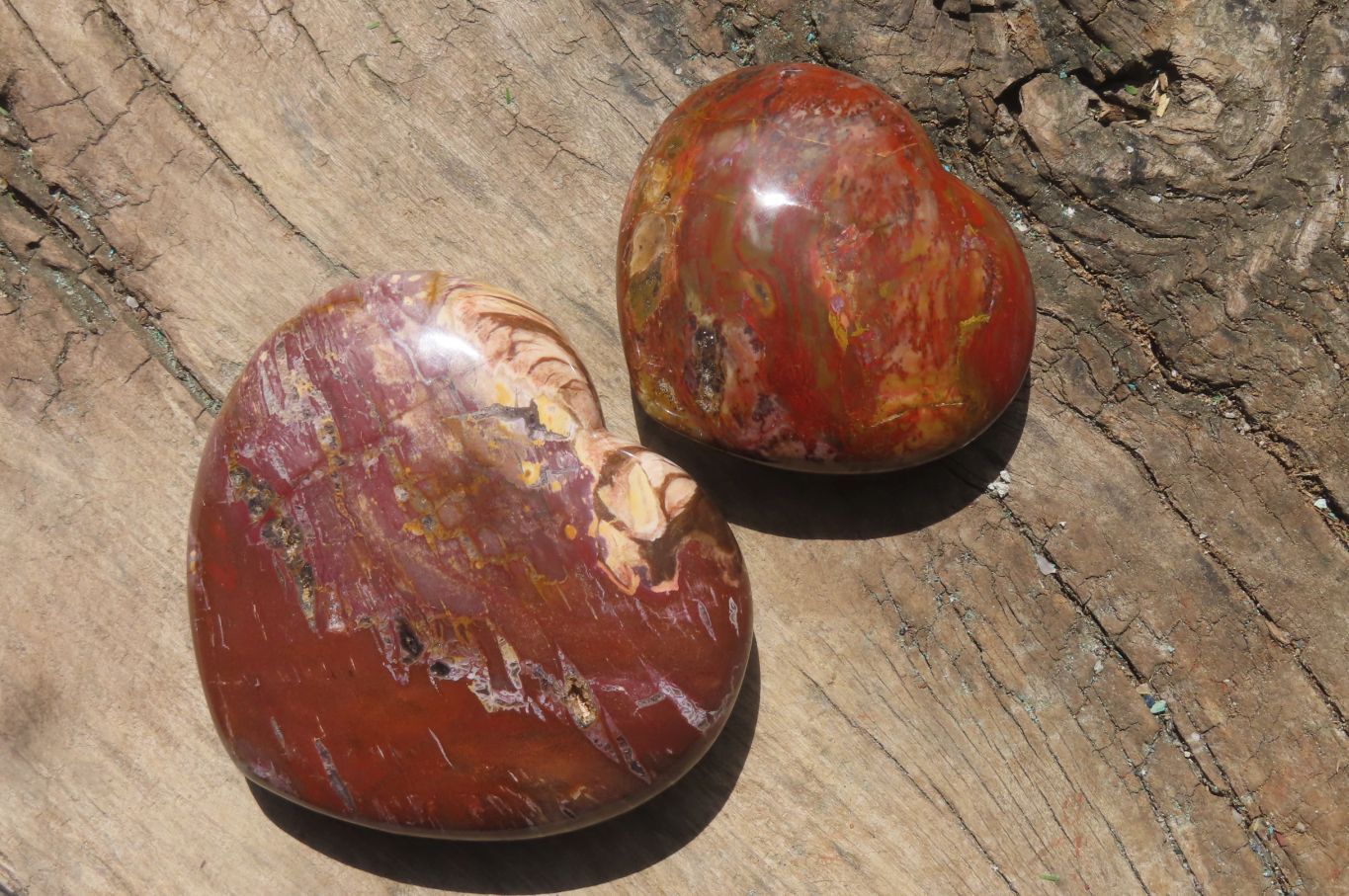 Polished Red Podocarpus Petrified Wood Hearts x 2 From Madagascar - Toprock Gemstones and Minerals 