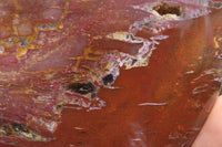 Polished Red Podocarpus Petrified Wood Hearts x 2 From Madagascar - Toprock Gemstones and Minerals 
