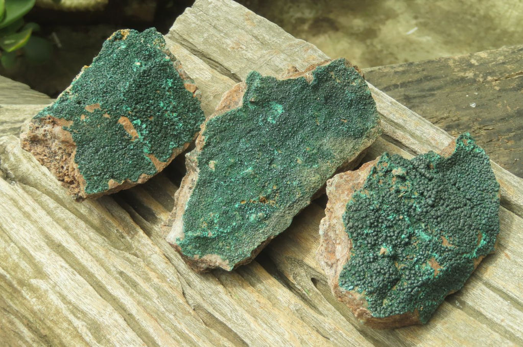 Natural Botryoidal Malachite Specimens x 3 From Tenke Fungurume, Congo - Toprock Gemstones and Minerals 