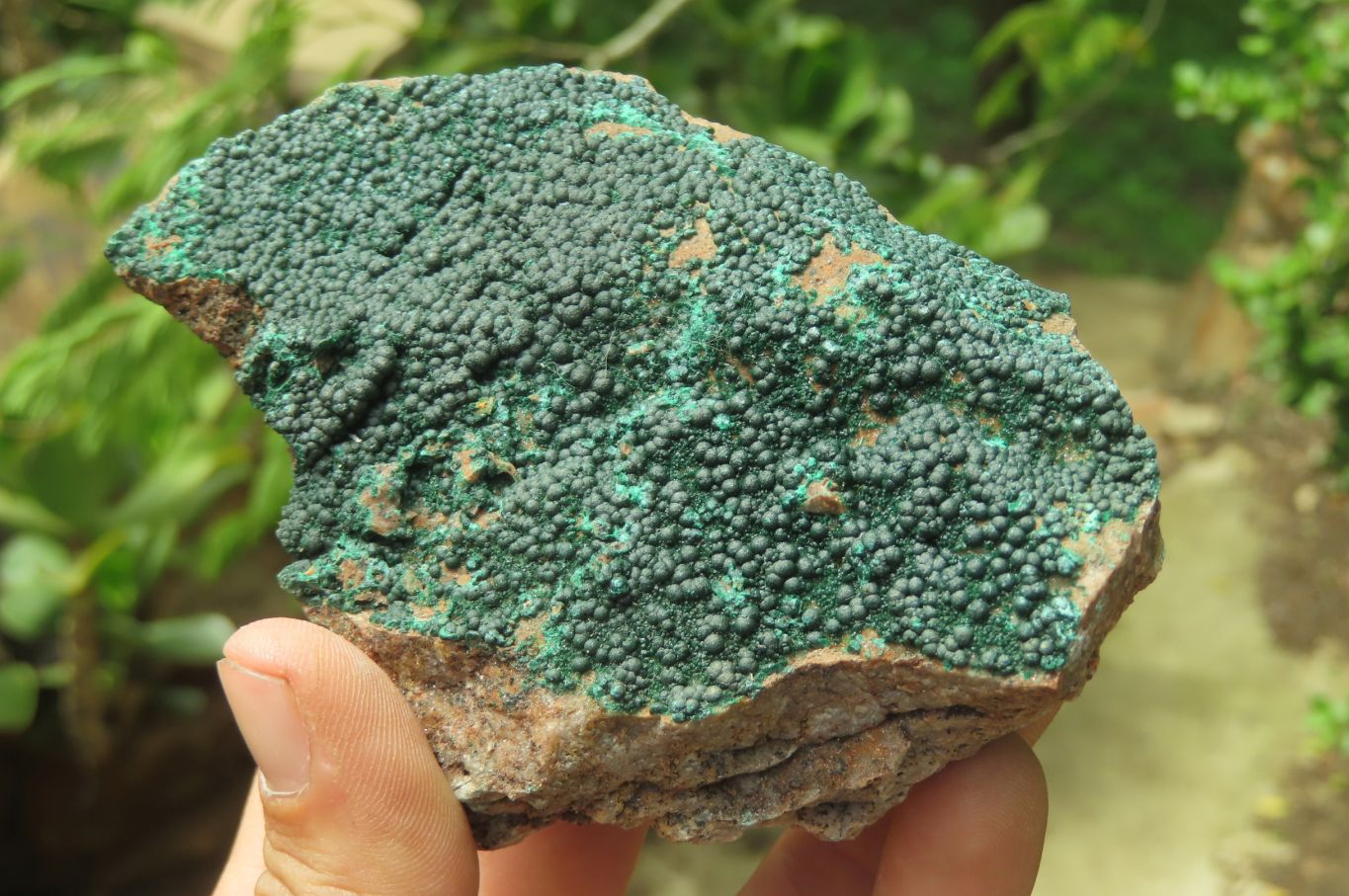 Natural Botryoidal Malachite Specimens x 3 From Tenke Fungurume, Congo - Toprock Gemstones and Minerals 