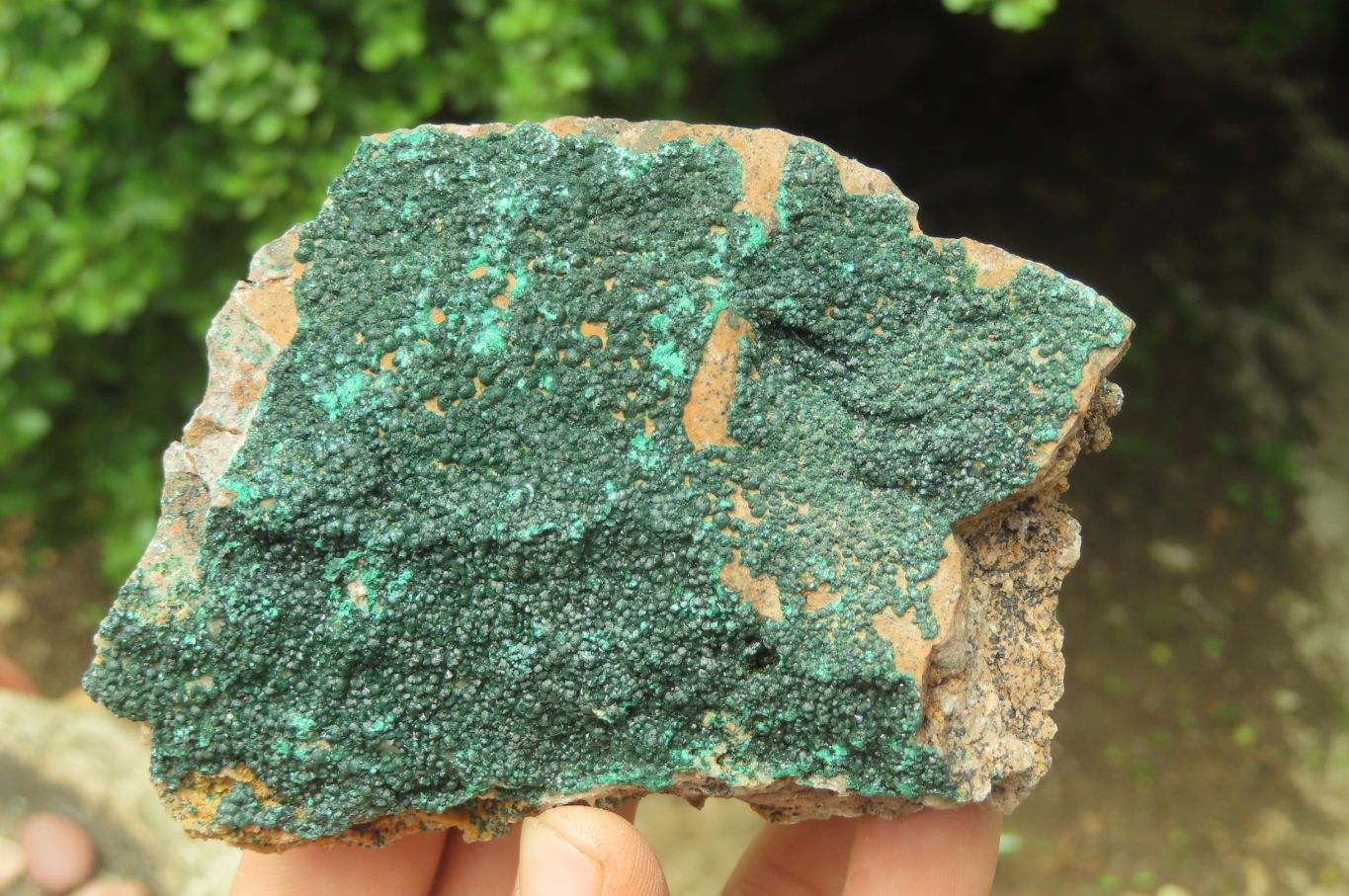 Natural Botryoidal Malachite Specimens x 3 From Tenke Fungurume, Congo - Toprock Gemstones and Minerals 