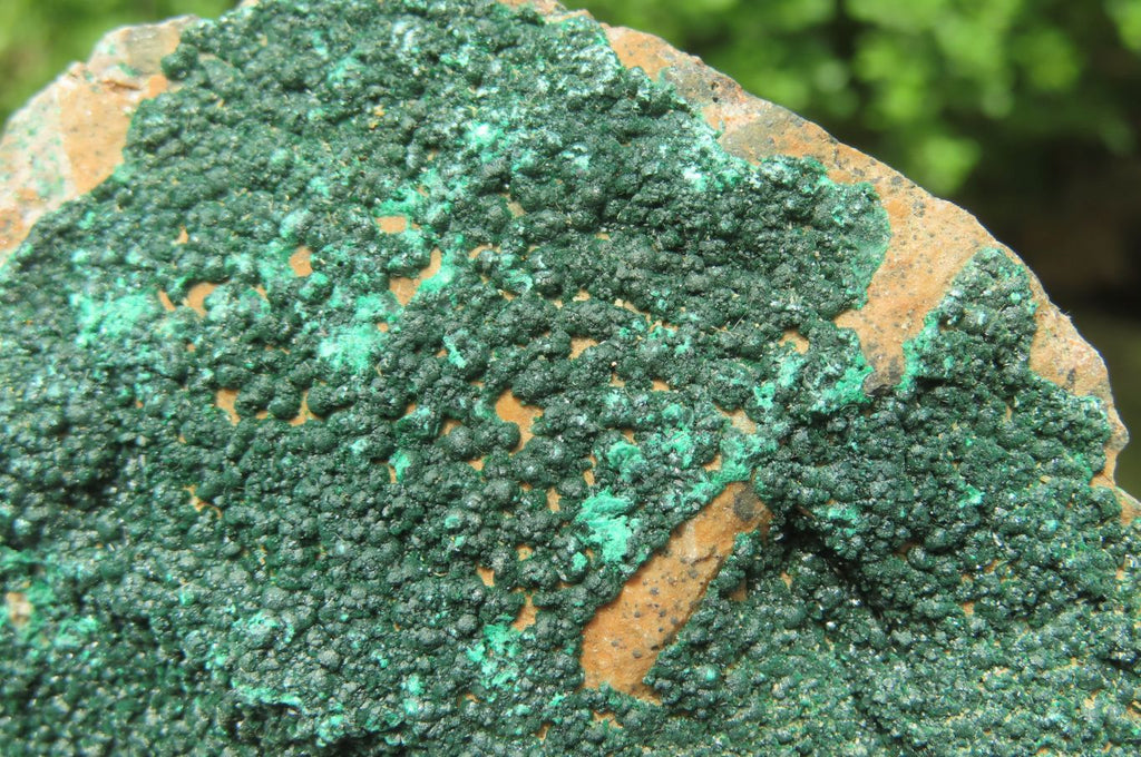 Natural Botryoidal Malachite Specimens x 3 From Tenke Fungurume, Congo - Toprock Gemstones and Minerals 