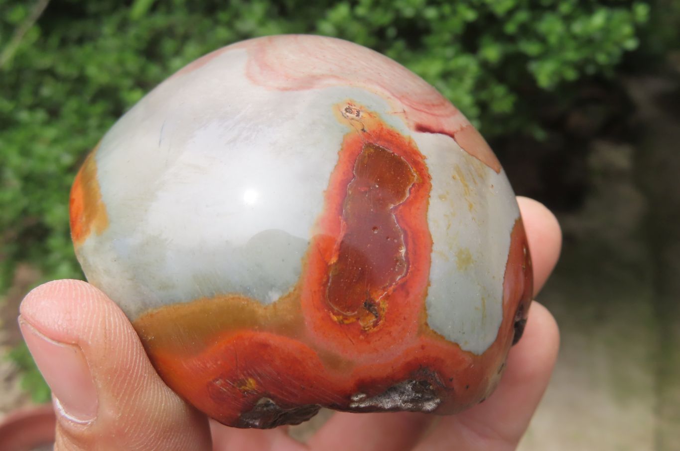 Polished On One Side Polychrome Jasper Nodules x 6 From Mahajanga, Madagascar - Toprock Gemstones and Minerals 