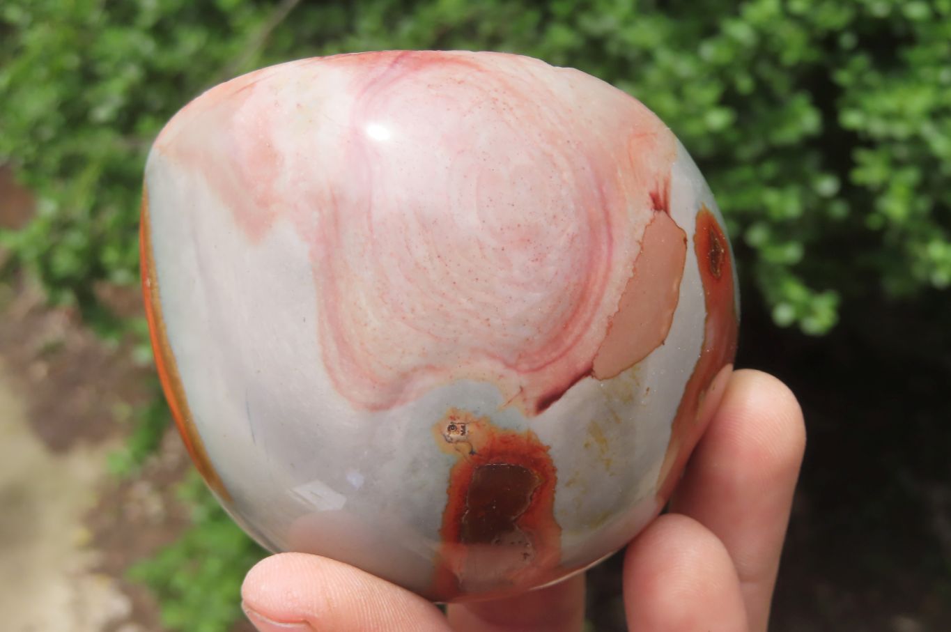 Polished On One Side Polychrome Jasper Nodules x 6 From Mahajanga, Madagascar - Toprock Gemstones and Minerals 