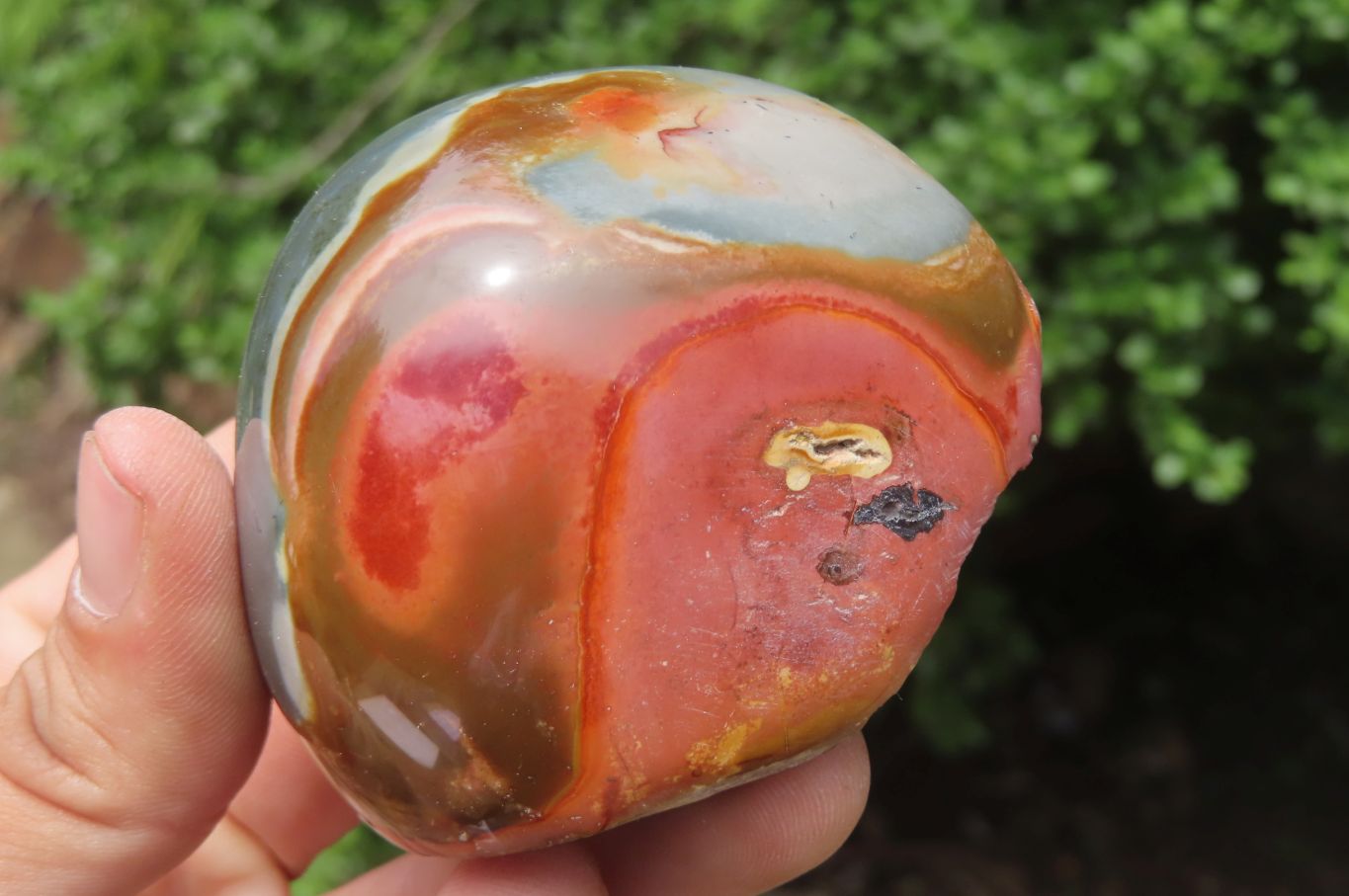 Polished On One Side Polychrome Jasper Nodules x 6 From Mahajanga, Madagascar - Toprock Gemstones and Minerals 