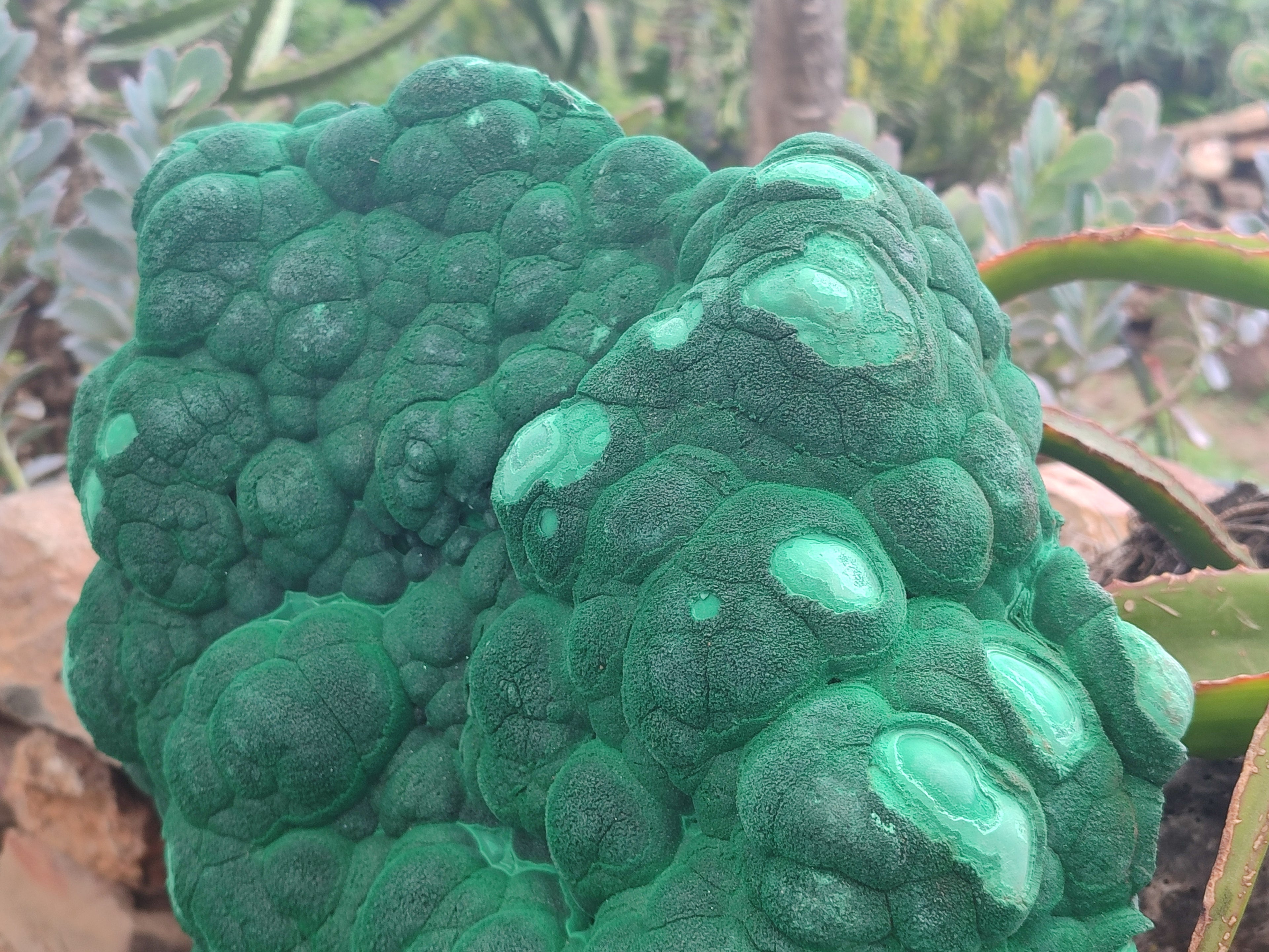 Natural Botryoidal Malachite Specimen x 1 From Congo - Toprock Gemstones and Minerals 