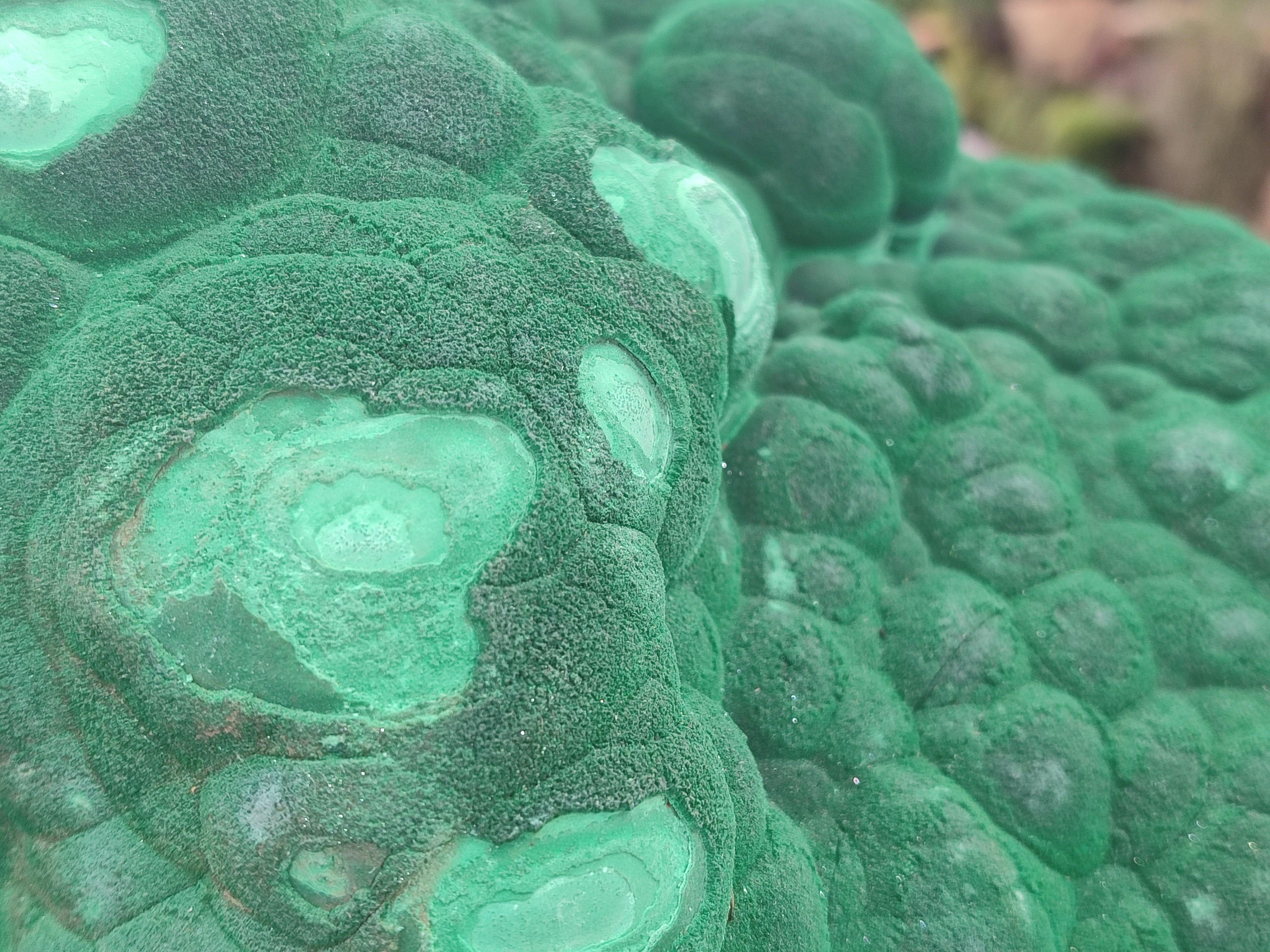 Natural Botryoidal Malachite Specimen x 1 From Congo - Toprock Gemstones and Minerals 