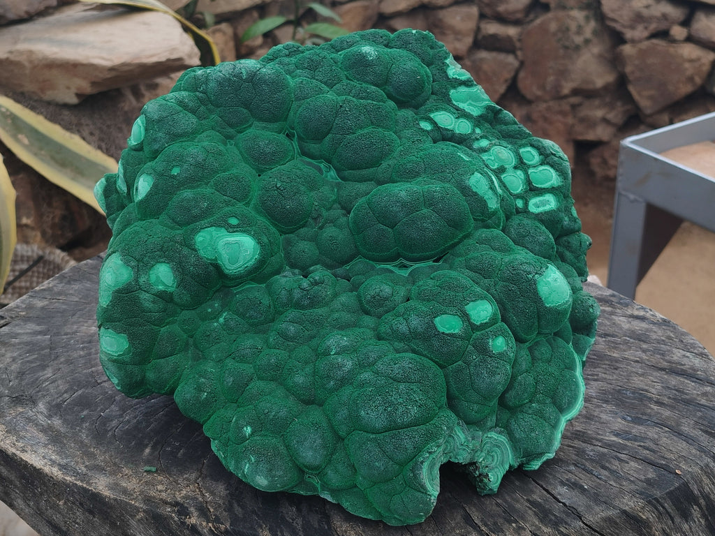 Natural Botryoidal Malachite Specimen x 1 From Congo - Toprock Gemstones and Minerals 