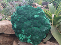 Natural Botryoidal Malachite Specimen x 1 From Congo - Toprock Gemstones and Minerals 