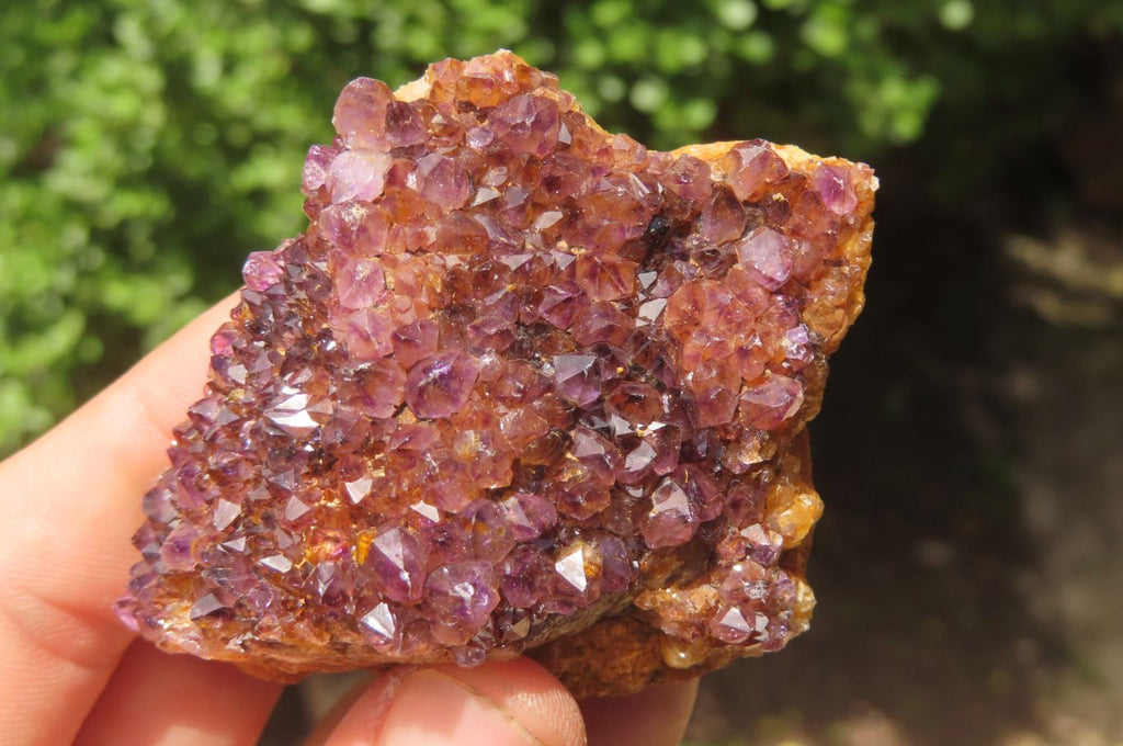 Natural Amethystos Amethyst Specimens x 12 From Kwaggafontein, South Africa - Toprock Gemstones and Minerals 