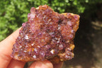 Natural Amethystos Amethyst Specimens x 12 From Kwaggafontein, South Africa - Toprock Gemstones and Minerals 