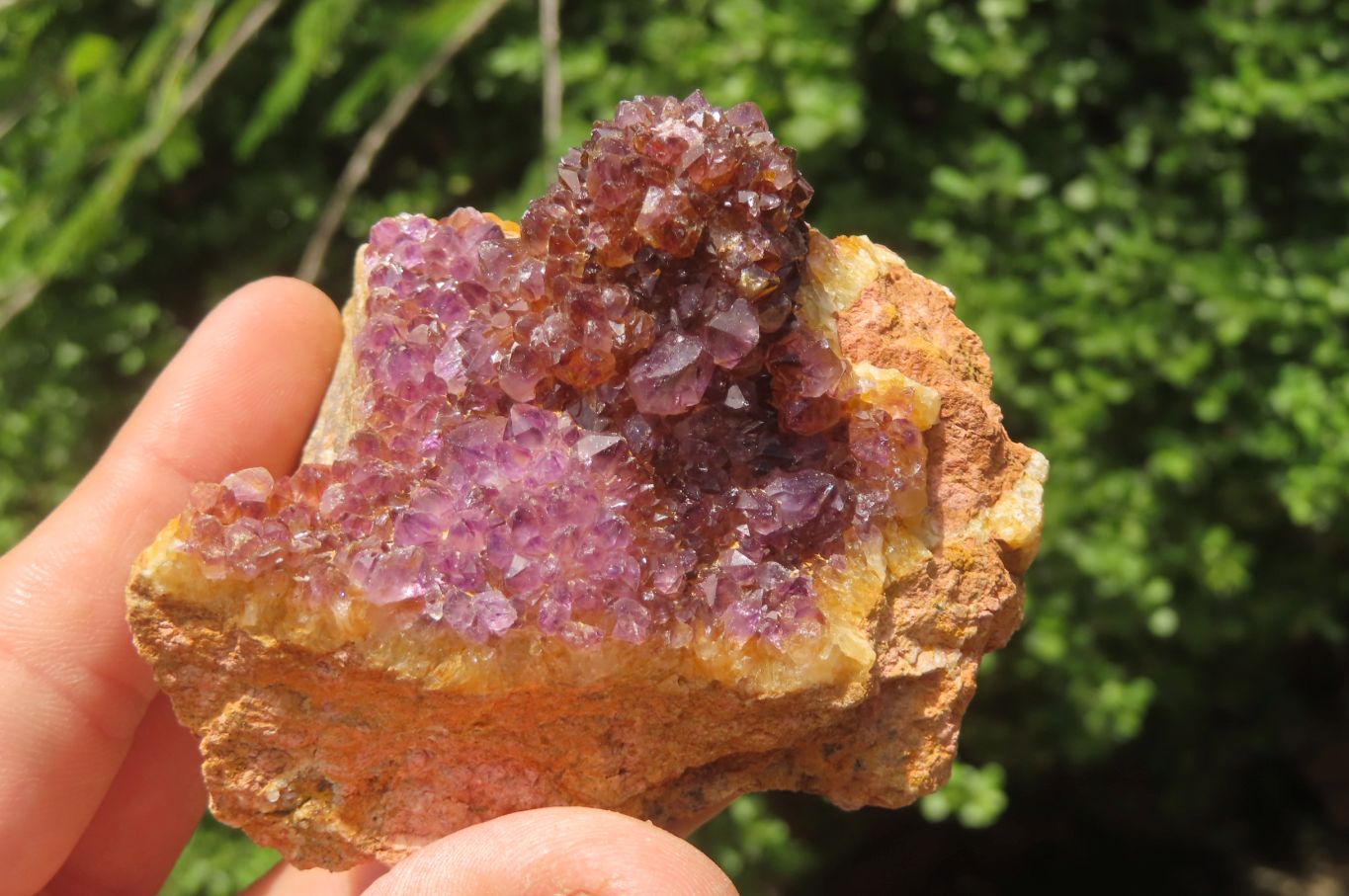 Natural Amethystos Amethyst Specimens x 12 From Kwaggafontein, South Africa - Toprock Gemstones and Minerals 