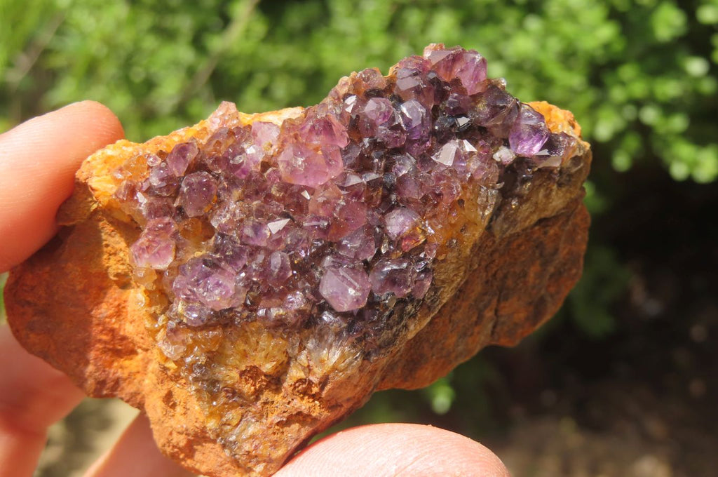 Natural Amethystos Amethyst Specimens x 12 From Kwaggafontein, South Africa - Toprock Gemstones and Minerals 