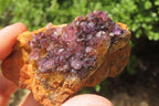 Natural Amethystos Amethyst Specimens x 12 From Kwaggafontein, South Africa - Toprock Gemstones and Minerals 