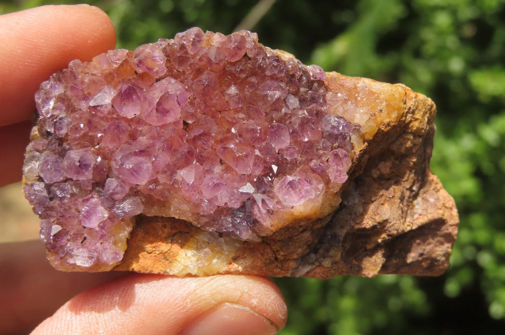 Natural Amethystos Amethyst Specimens x 12 From Kwaggafontein, South Africa - Toprock Gemstones and Minerals 