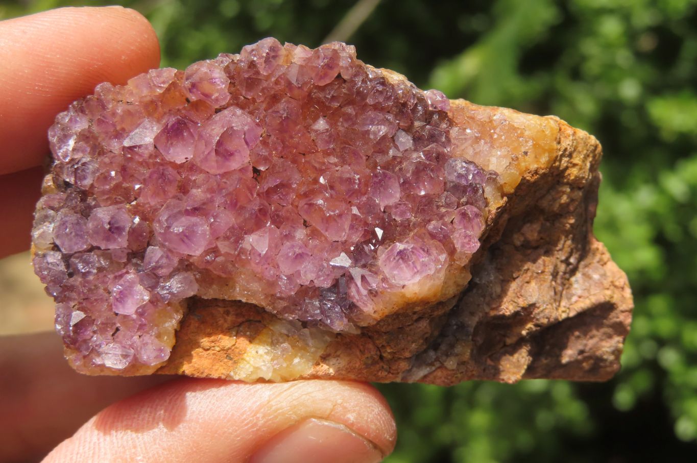 Natural Amethystos Amethyst Specimens x 12 From Kwaggafontein, South Africa - Toprock Gemstones and Minerals 