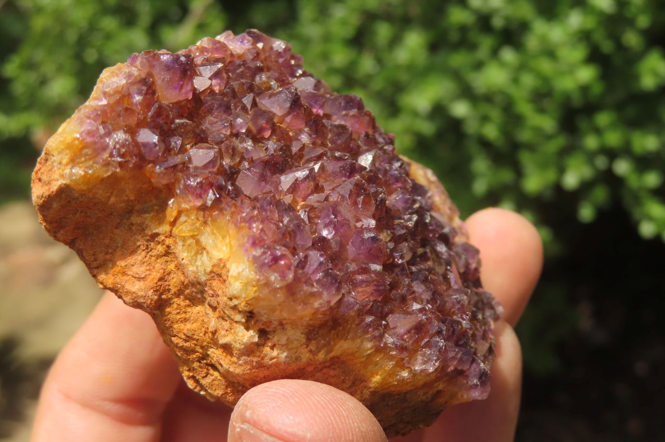 Natural Amethystos Amethyst Specimens x 12 From Kwaggafontein, South Africa - Toprock Gemstones and Minerals 