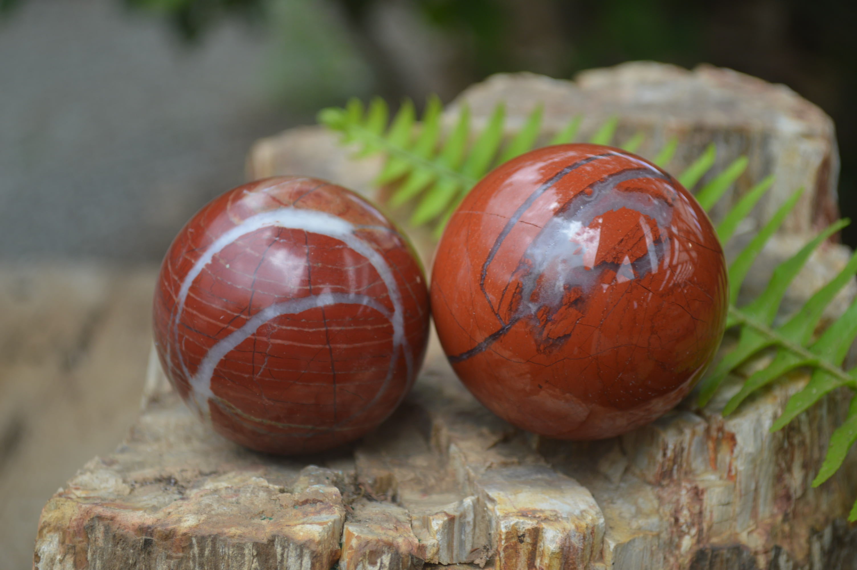 Polished Red Jasper Sphere-Balls - Sold Per Item - From Northern Cape, South Africa - Toprock Gemstones and Minerals 
