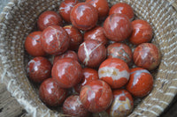 Polished Red Jasper Sphere-Balls - Sold Per Item - From Northern Cape, South Africa - Toprock Gemstones and Minerals 