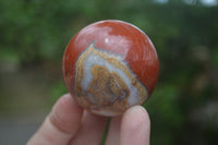 Polished Red Jasper Sphere-Balls - Sold Per Item - From Northern Cape, South Africa - Toprock Gemstones and Minerals 