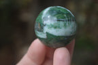Polished Buddstone Sphere-Balls - Sold Per Item - From Swaziland - Toprock Gemstones and Minerals 