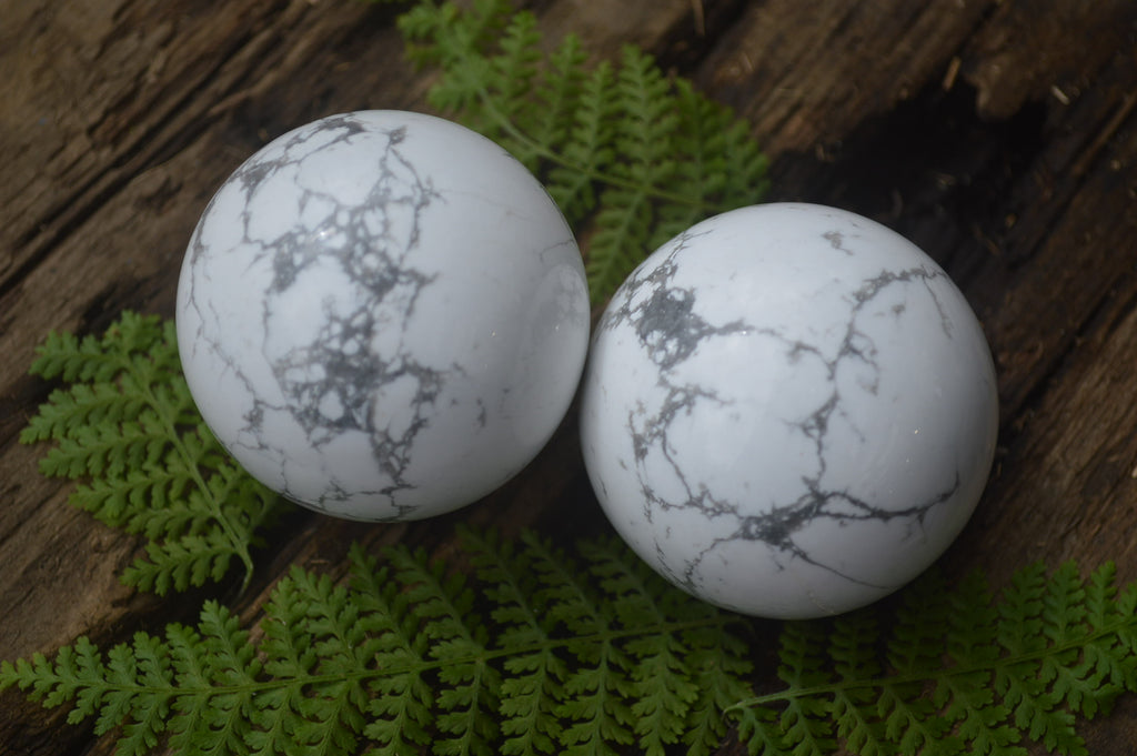 Polished Lightning Strike Howlite Sphere-Balls - Sold Per Item - From Zimbabwe - Toprock Gemstones and Minerals 