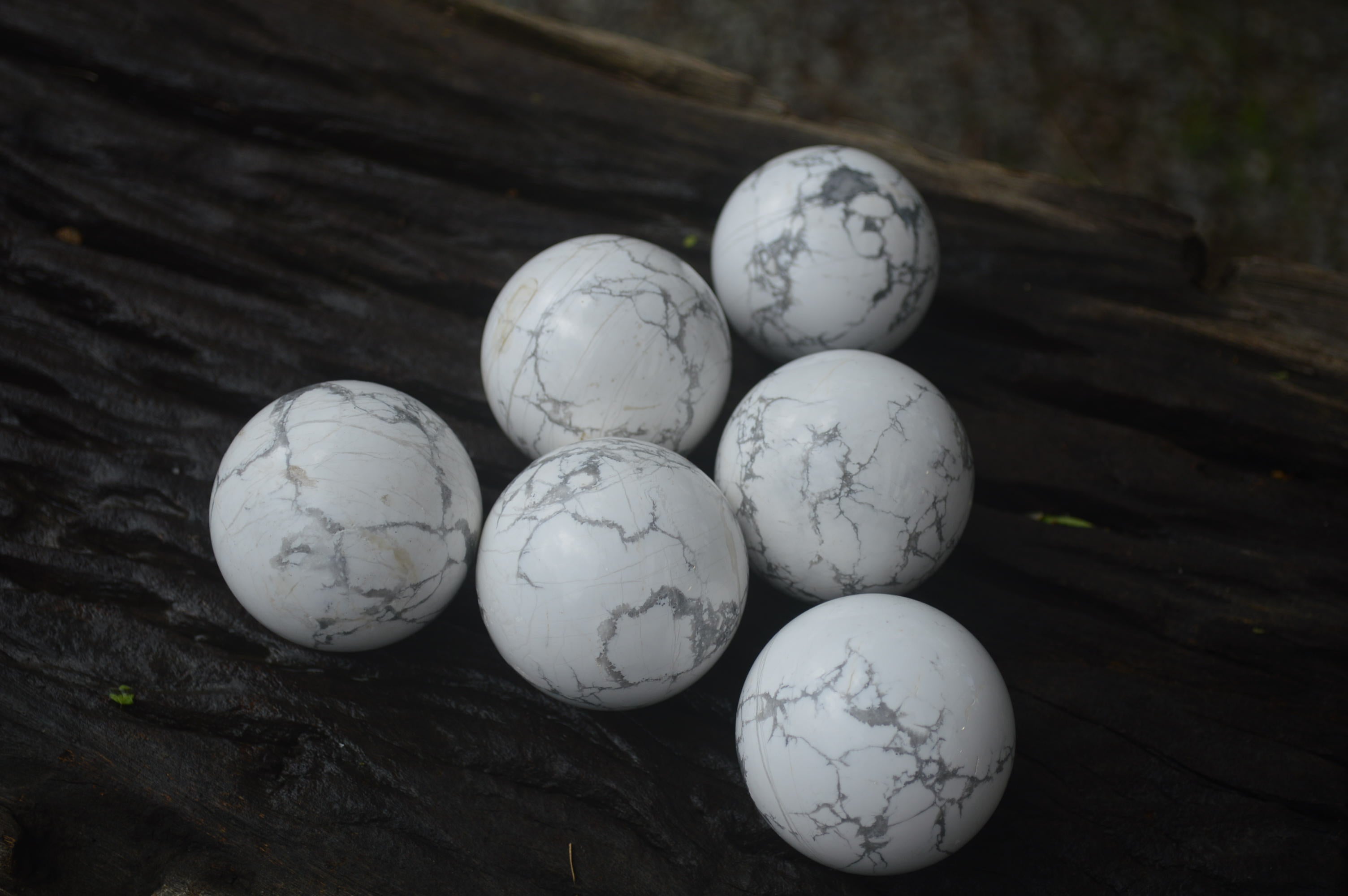 Polished Lightning Strike Howlite Sphere-Balls - Sold Per Item - From Zimbabwe - Toprock Gemstones and Minerals 