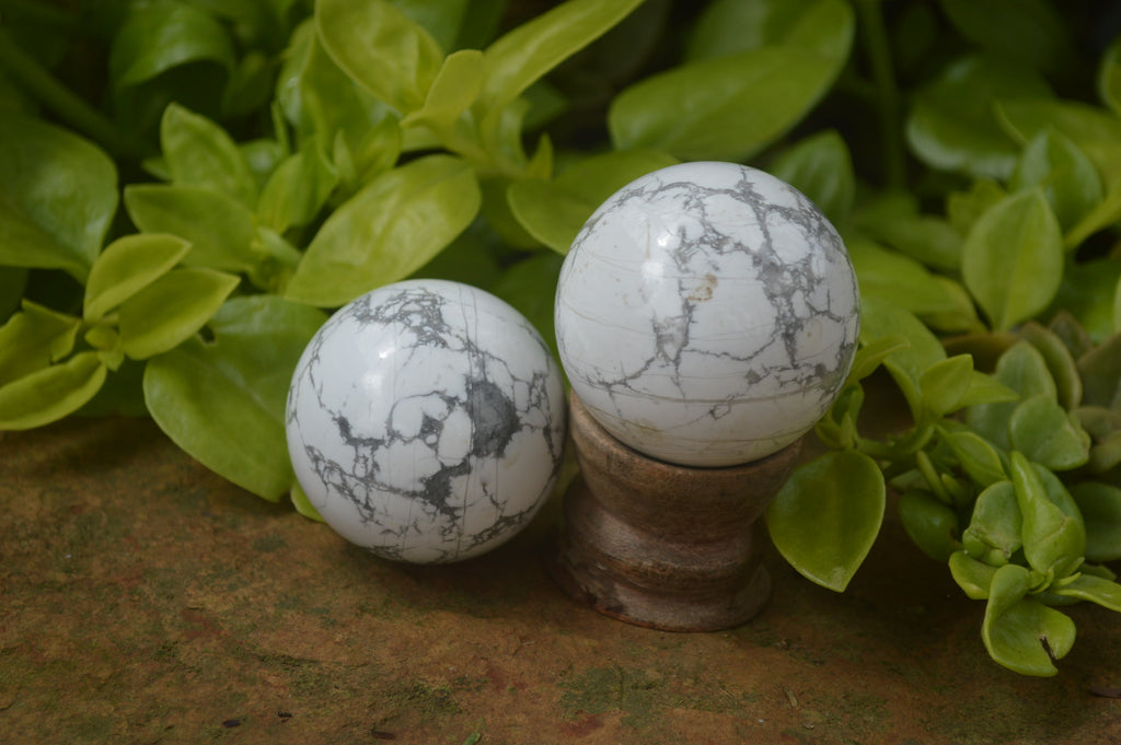 Polished Lightning Strike Howlite Sphere-Balls - Sold Per Item - From Zimbabwe - Toprock Gemstones and Minerals 