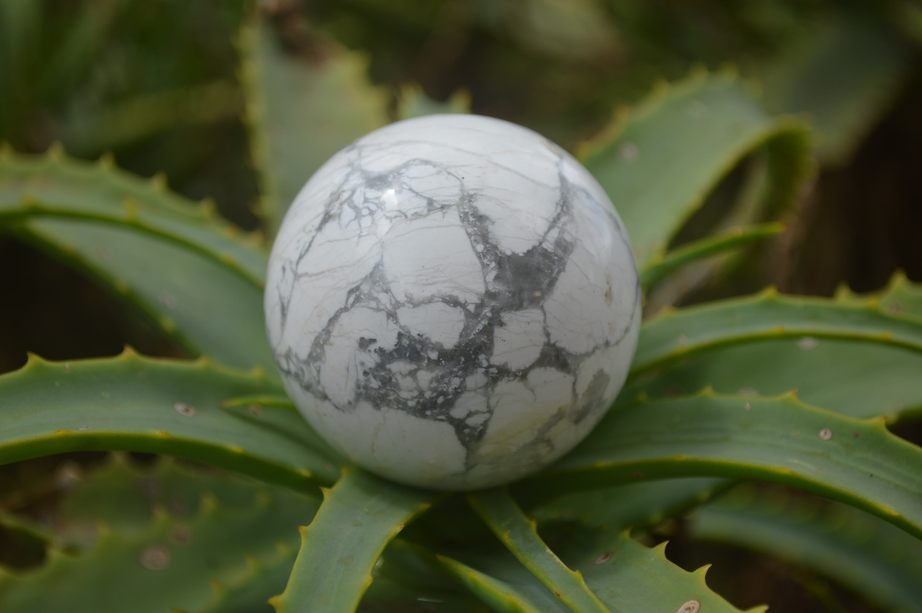 Polished Lightning Strike Howlite Sphere-Balls - Sold Per Item - From Zimbabwe - Toprock Gemstones and Minerals 