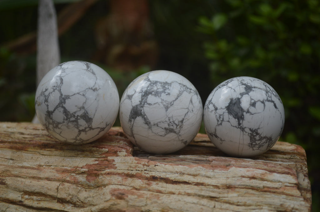 Polished Lightning Strike Howlite Sphere-Balls - Sold Per Item - From Zimbabwe - Toprock Gemstones and Minerals 