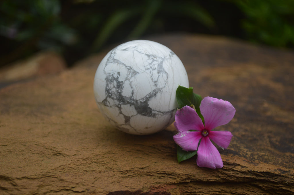 Polished Lightning Strike Howlite Sphere-Balls - Sold Per Item - From Zimbabwe - Toprock Gemstones and Minerals 