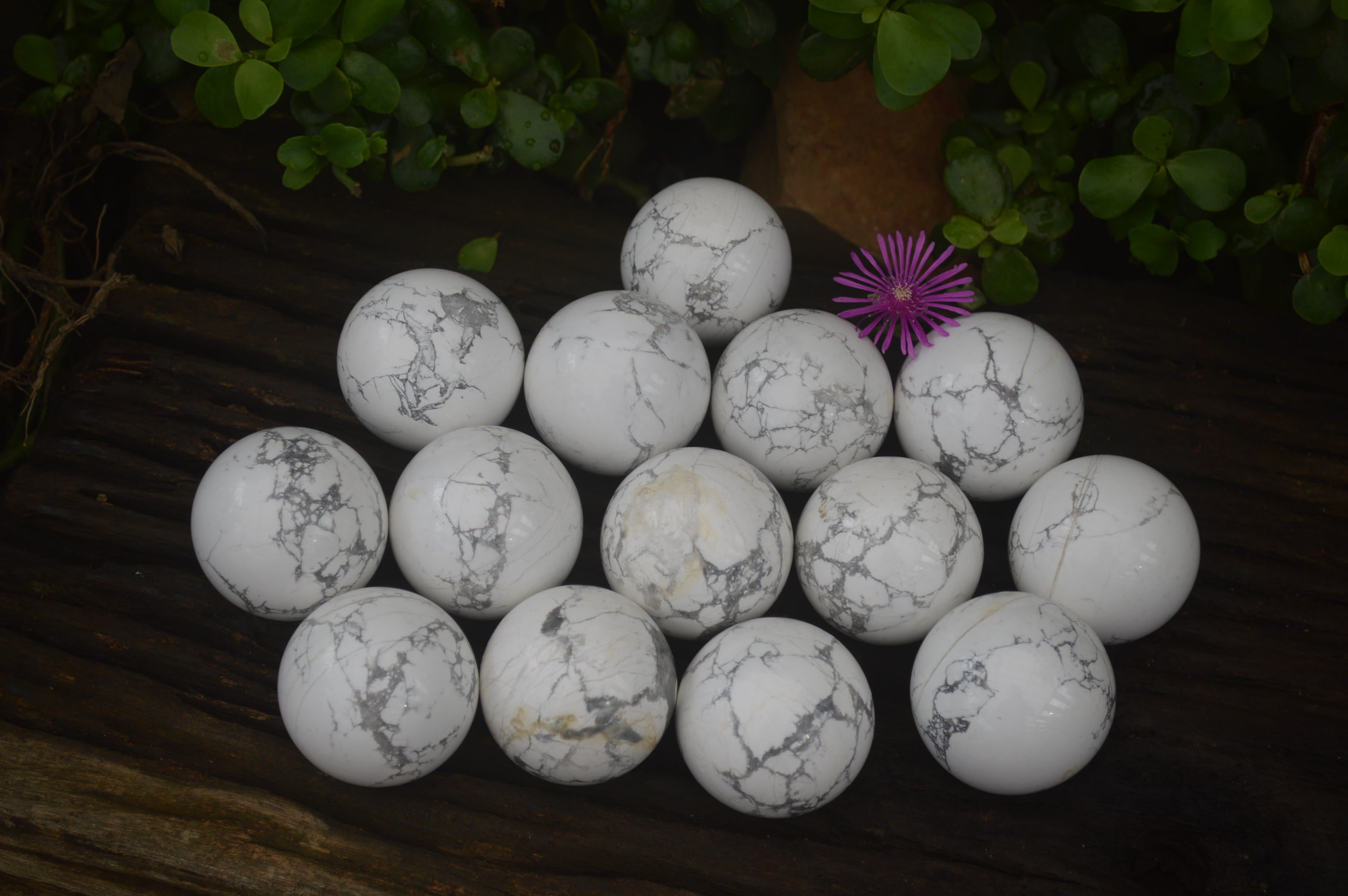 Polished Lightning Strike Howlite Sphere-Balls - Sold Per Item - From Zimbabwe - Toprock Gemstones and Minerals 