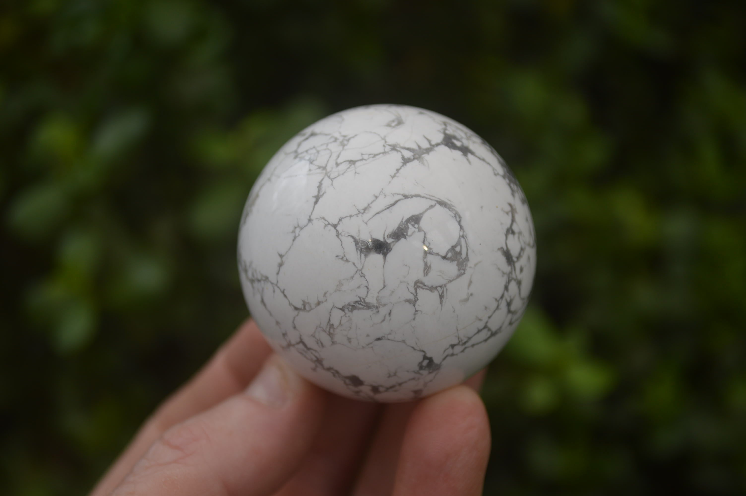 Polished Lightning Strike Howlite Sphere-Balls - Sold Per Item - From Zimbabwe - Toprock Gemstones and Minerals 