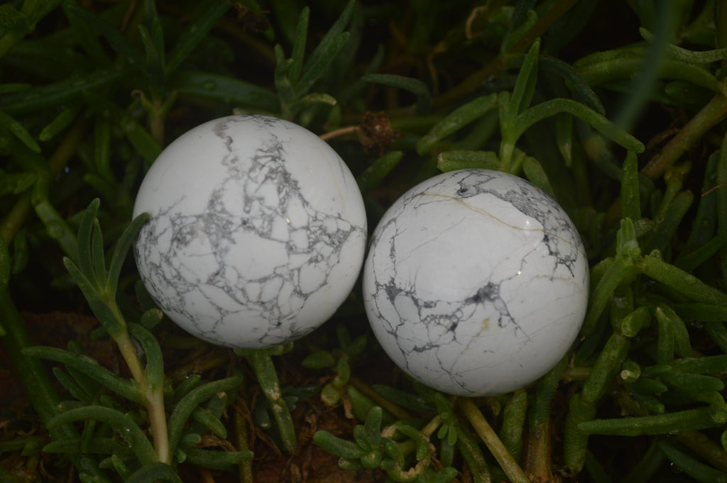 Polished Lightning Strike Howlite Sphere-Balls - Sold Per Item - From Zimbabwe - Toprock Gemstones and Minerals 