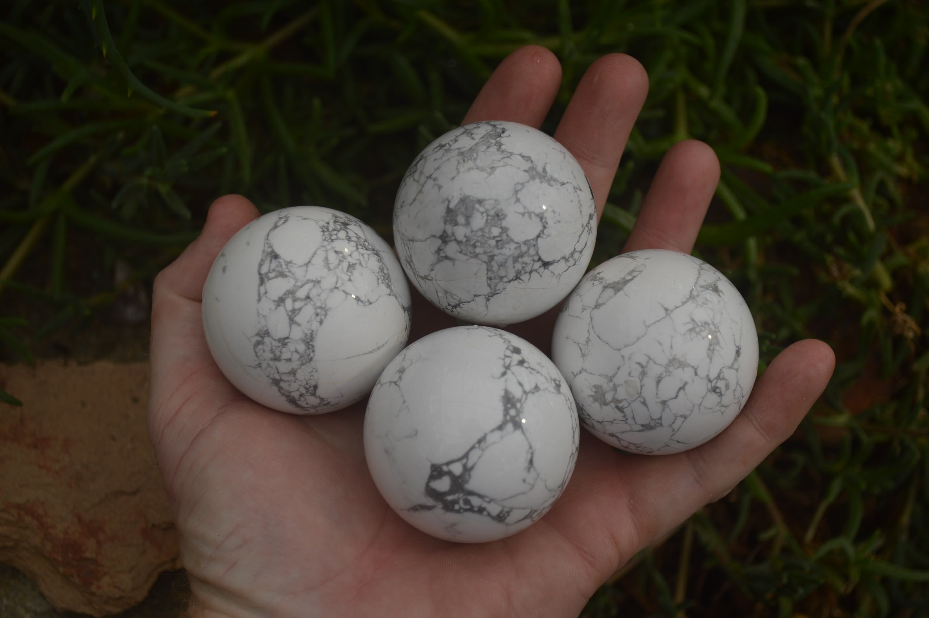 Polished Lightning Strike Howlite Sphere-Balls - Sold Per Item - From Zimbabwe - Toprock Gemstones and Minerals 