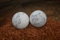 Polished Lightning Strike Howlite Sphere-Balls - Sold Per Item - From Zimbabwe - Toprock Gemstones and Minerals 