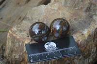 Polished Tiger Iron Sphere-Balls - Sold Per Item - From Marble Bar, Australia - Toprock Gemstones and Minerals 
