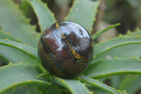 Polished Tiger Iron Sphere-Balls - Sold Per Item - From Marble Bar, Australia - Toprock Gemstones and Minerals 