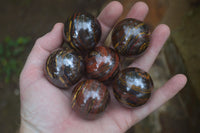 Polished Tiger Iron Sphere-Balls - Sold Per Item - From Marble Bar, Australia - Toprock Gemstones and Minerals 