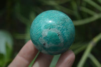 Polished Amazonite Sphere-Balls - Sold Per Item - From Madagascar