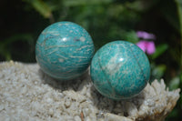 Polished Amazonite Sphere-Balls - Sold Per Item - From Madagascar
