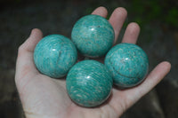Polished Amazonite Sphere-Balls - Sold Per Item - From Madagascar