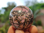 Polished Rhodonite Sphere-Balls - Sold Per Item - From Madagascar - Toprock Gemstones and Minerals 