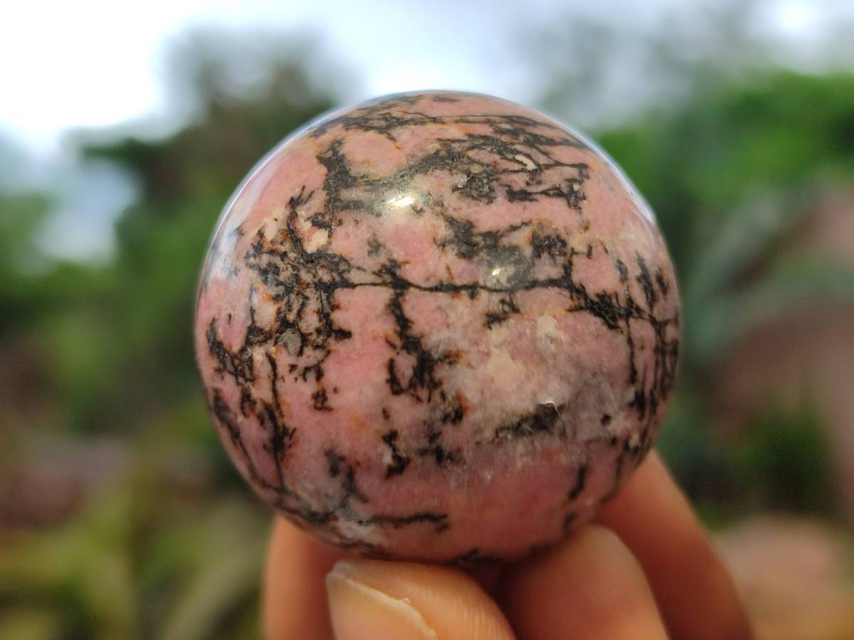 Polished Rhodonite Sphere-Balls - Sold Per Item - From Madagascar - Toprock Gemstones and Minerals 