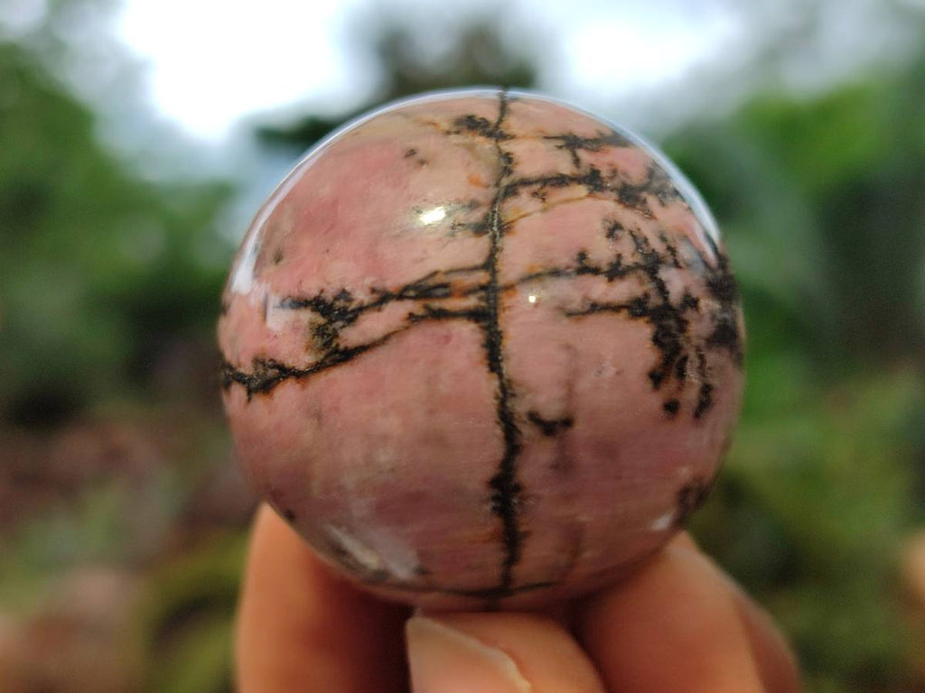Polished Rhodonite Sphere-Balls - Sold Per Item - From Madagascar - Toprock Gemstones and Minerals 