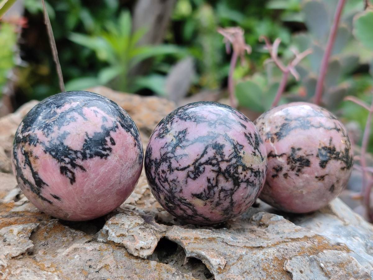 Polished Rhodonite Sphere-Balls - Sold Per Item - From Madagascar - Toprock Gemstones and Minerals 